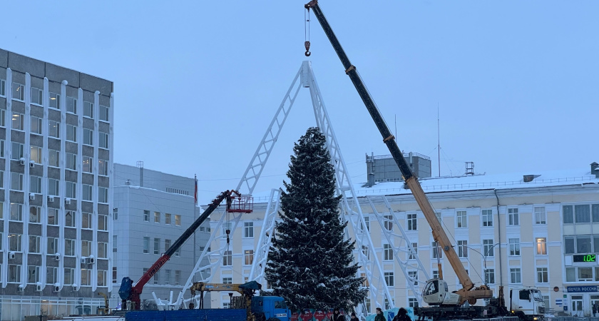 Площадь Сыктывкара прощается с новогодней елкой