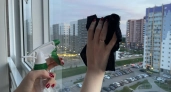 Как мыть окна без разводов: 5 секретов, о которых молчат профессионалы