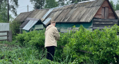 Против вредителей — идеально: агроном из Лосино-Петровского рассказала, как уничтожить слизней в огороде