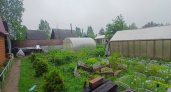 Что добавить в лунку, чтобы кабачки пошли в рост и завалили богатым урожаем