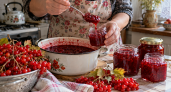 1 кг калины — и вкусные заготовки на зиму готовы: 4 рецепта и никакой горечи