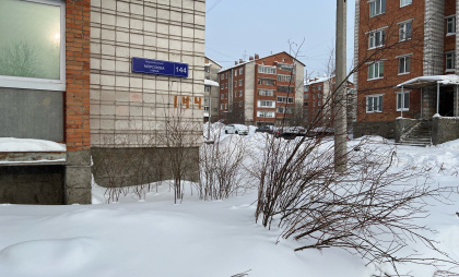 В Сыктывкаре жильцы спилили деревья во дворе без разрешения