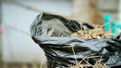 В Сыктывкаре утвердили график весенних субботников