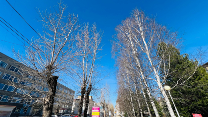 Сыктывкарцы задыхаются от пыли на улицах: коммунальные службы ждут потепления для масштабных поливов